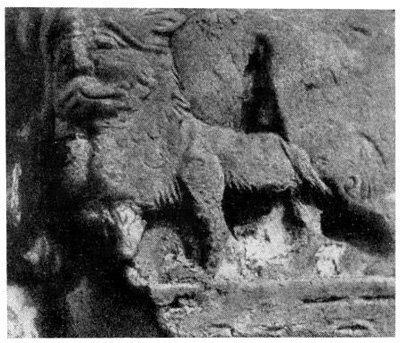 Суздаль. Собор Рождества богородицы. Угловой лев